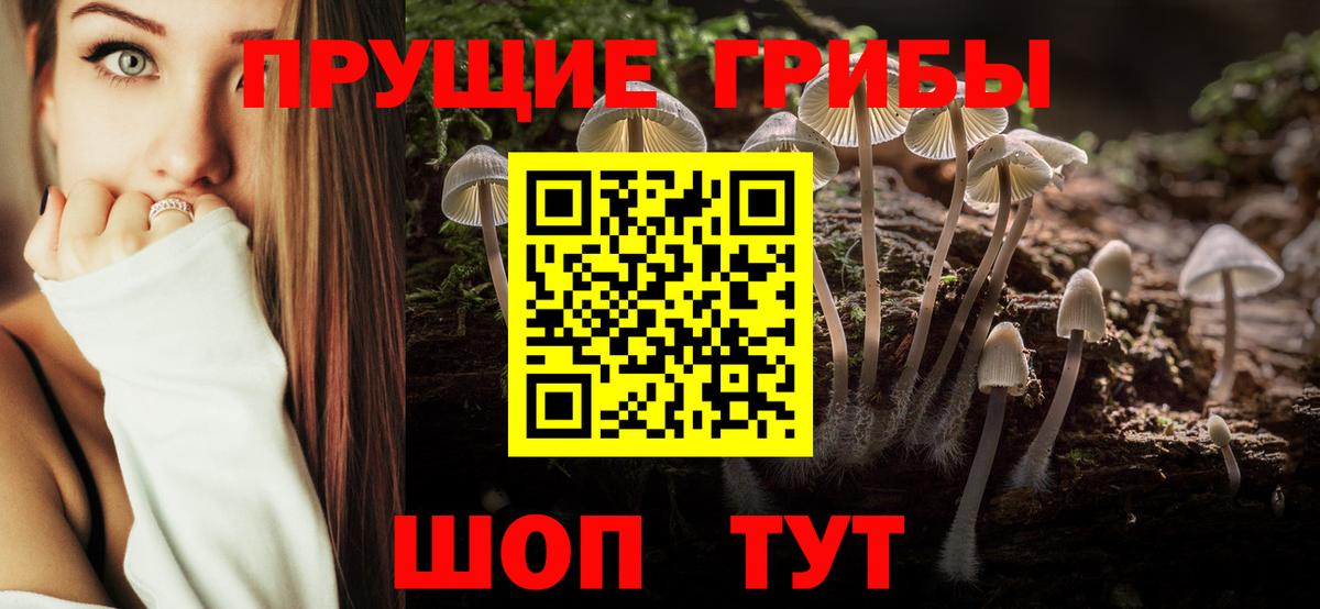 Псилоцибиновые грибы Magic Shrooms Тара