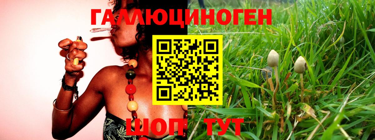 Тара  Псилоцибиновые грибы ЛСД  Вход с VPN 